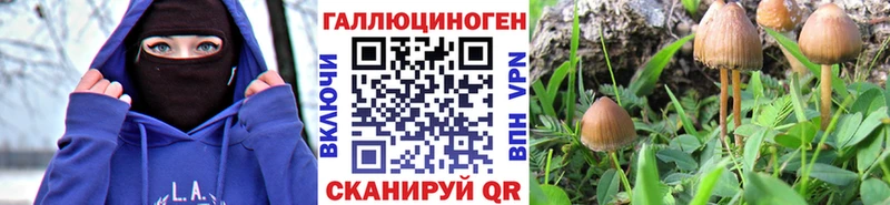 Псилоцибиновые грибы Psilocybine cubensis  Уварово 
